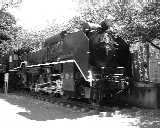 D51