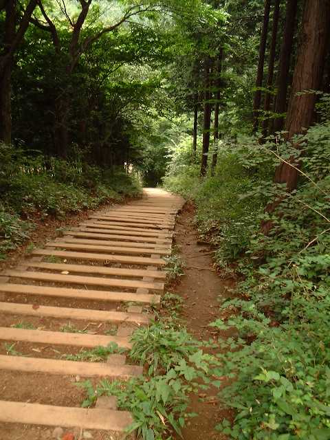 acwnR֌Ki