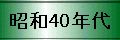 a40N