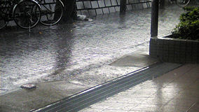 多摩川　突然の雨で雨宿り