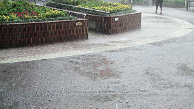 駅前の雨