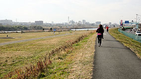 多摩川　走る人多い