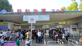 上野　動物園