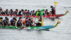 横浜港　ドラゴンボートレース