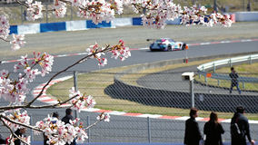 岡山　桜
