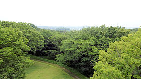 武蔵丘陵森林公園　展望台...見えない