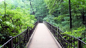 武蔵丘陵森林公園　吊り橋