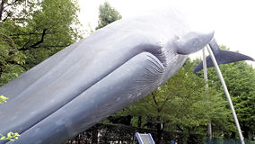上野　シロナガスクジラ
