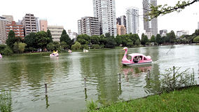 上野　不忍池のスワンボート