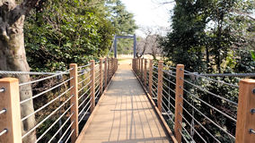 砧公園　吊り橋