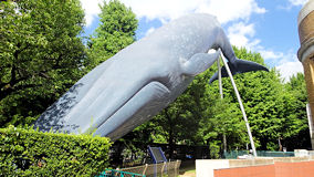 上野公園　シロナガスクジラ