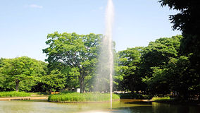 代々木公園 噴水