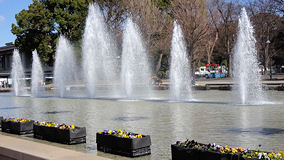 上野公園　噴水
