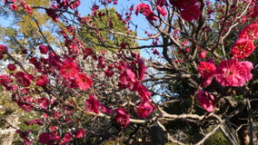 �r��~���@�g�~