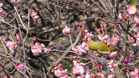 �r��~���@���W��