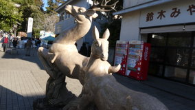 �����_�{�@���̑�