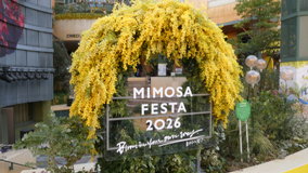 ���@�~���U�t�F�X�^