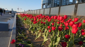 �����@�`���[���b�v