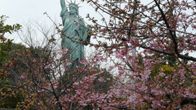 �����@�͒Í��Ǝ��R�̏��_