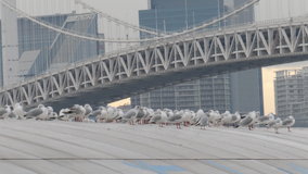 �����@�����ɃJ����