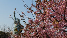 �����@�͒Í��Ǝ��R�̏��_