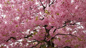 �����@�A�N�A�V�e�B�̉͒Í�