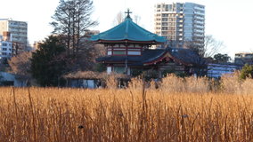 �������@�s�E�r�ٓ̕V��