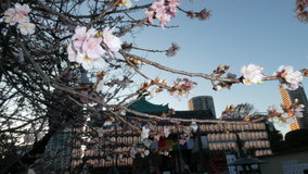 �������@�ٓV���̓~��