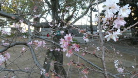 �������@�\����