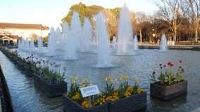 �������@�`���[���b�v����