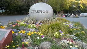 �������@�����