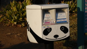 �������@�p���_�|�X�g