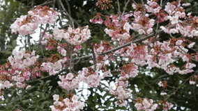 �������@����