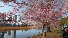 �������s�E�r�̉͒Í�