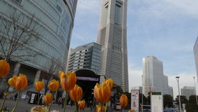 ���l�@�`���[���b�v���烉���h�}�[�N�^���[