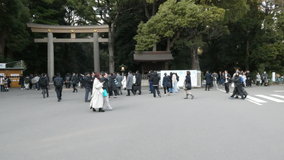 �����_�{