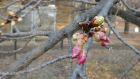 ��X�،����@�͒Í����Q