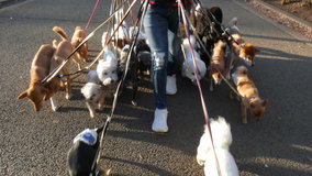 ��X�،����@��24�C�U��