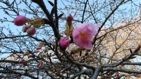 ��X�،����@�͒Í����炢��