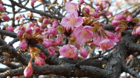 ��X�،����@�͒Í����炢��