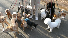 ��X�،����@��21�C�U��