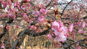 ��X�،����@�͒Í�