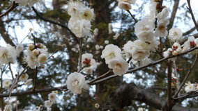 ��X�،����@���~