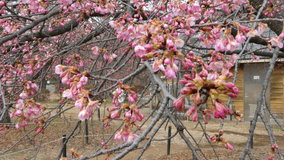 ��X�،����@�͒Í�