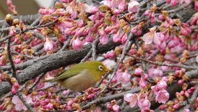 ��X�،����@���W��