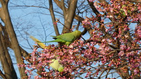 ��X�،����@���W��