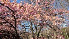 ��X�،����@�͒Í�