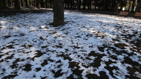 ��X�،����@�c��