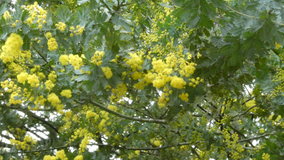 ��X�،����@�~���U