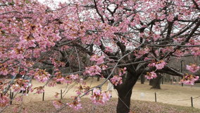 ��X�،����@�͒Í�